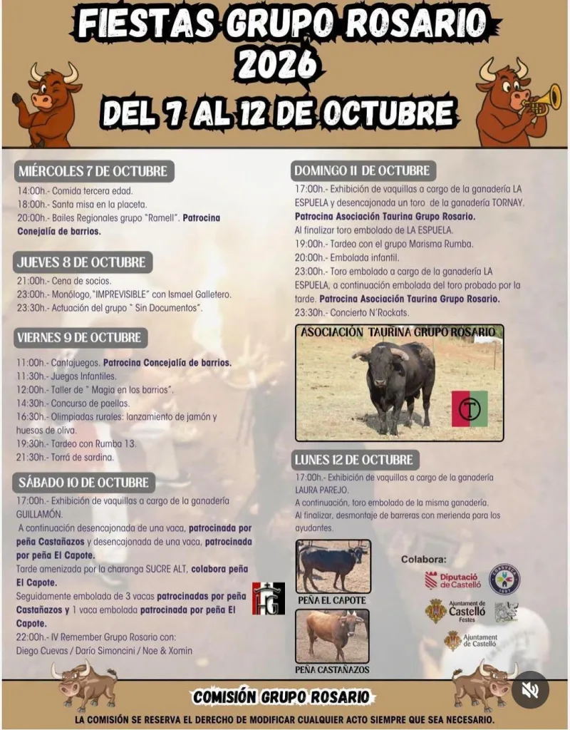 Cartel de Concierto N'Rockats