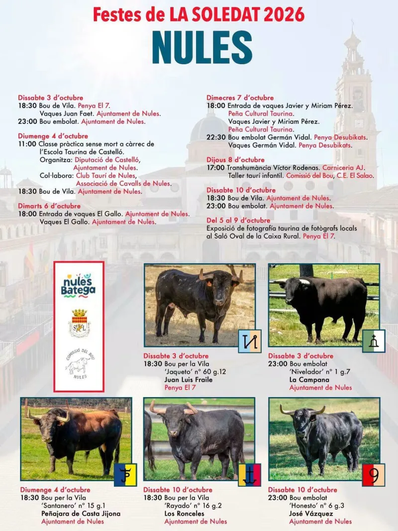 Cartel de Bou de Vila - Ajuntament de Nules - Festes de la Soledat (10 octubre)